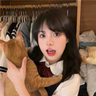 韩裔美人的日与夜