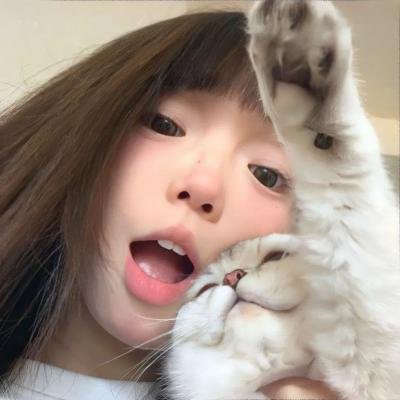 馅饼侦探 第四季