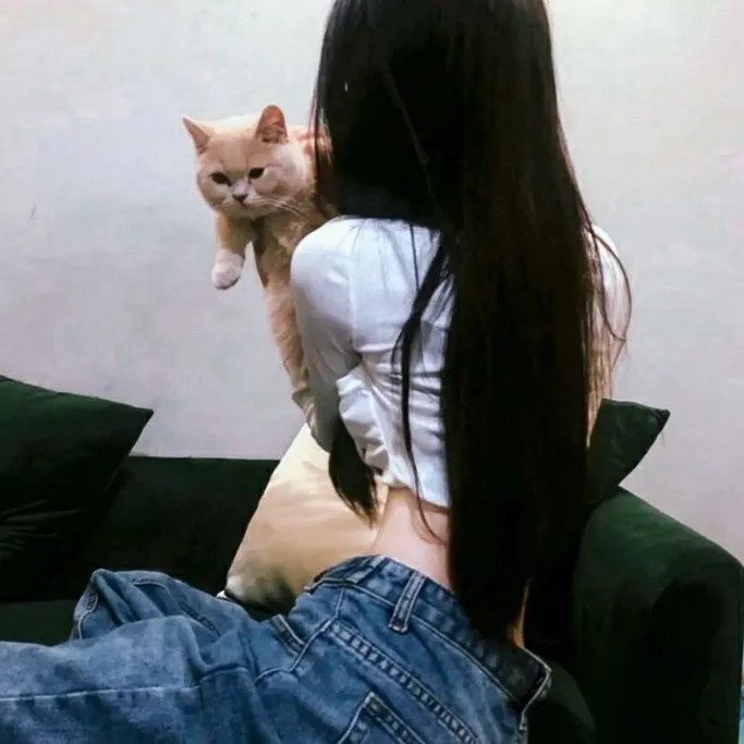 爱的迫降